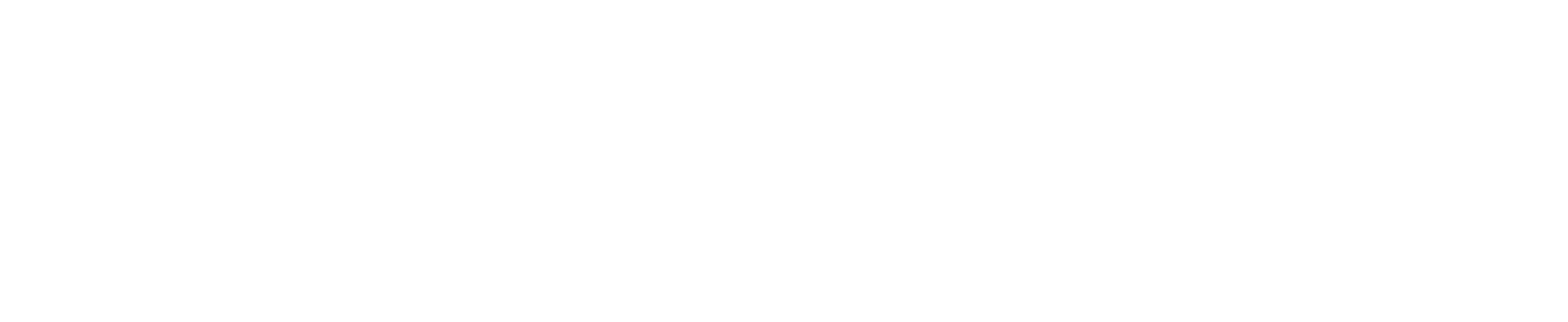 에이스바디 로고